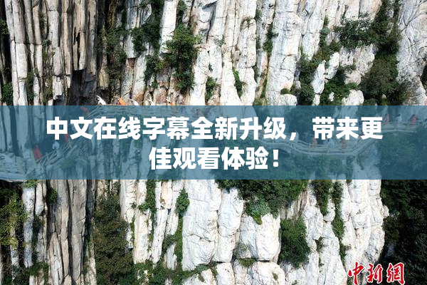 中文在线字幕全新升级，带来更佳观看体验！