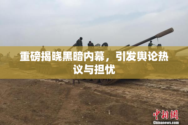 重磅揭晓黑暗内幕，引发舆论热议与担忧