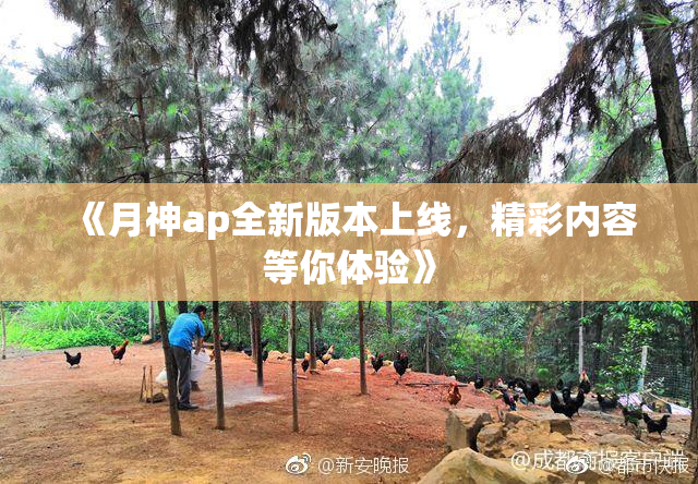 《月神ap全新版本上线，精彩内容等你体验》