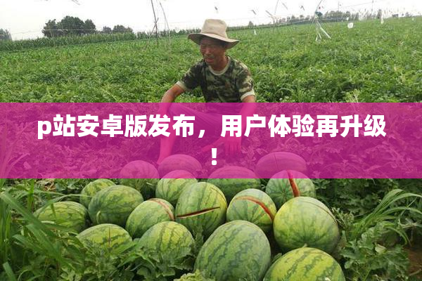 p站安卓版发布，用户体验再升级！