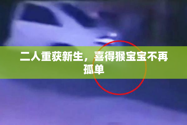 二人重获新生，喜得猴宝宝不再孤单