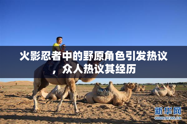 火影忍者中的野原角色引发热议，众人热议其经历