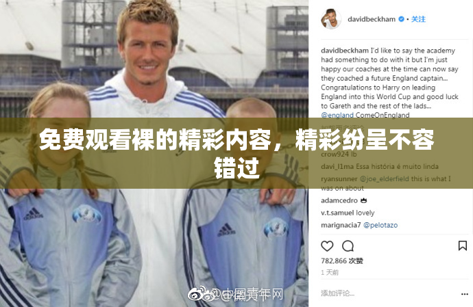 免费观看裸的精彩内容，精彩纷呈不容错过