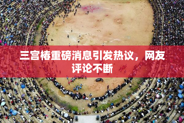 三宫椿重磅消息引发热议，网友评论不断