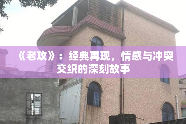 《老攻》：经典再现，情感与冲突交织的深刻故事