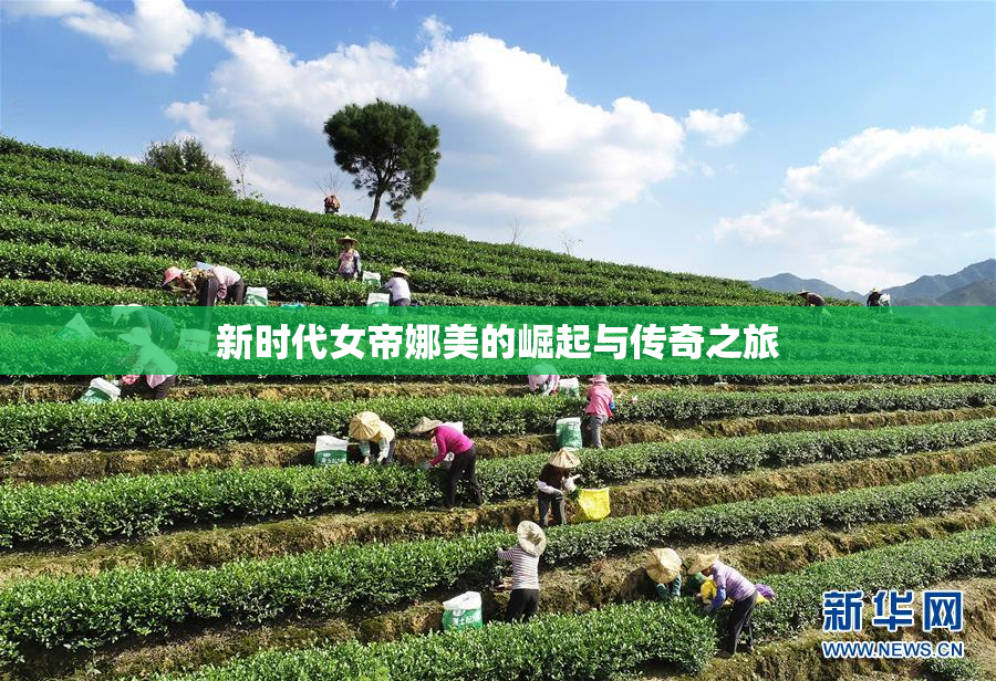 新时代女帝娜美的崛起与传奇之旅