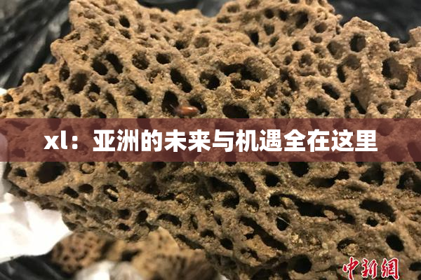 xl：亚洲的未来与机遇全在这里