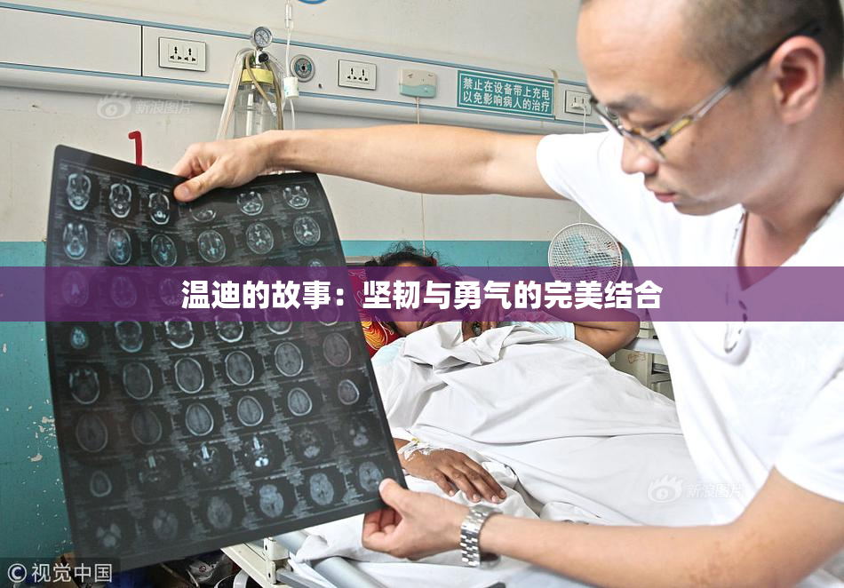 温迪的故事：坚韧与勇气的完美结合
