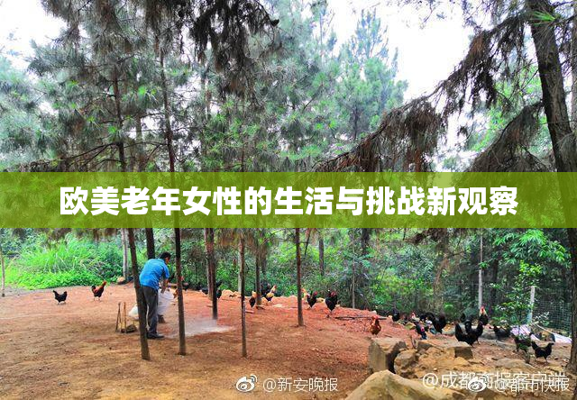 欧美老年女性的生活与挑战新观察