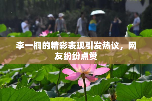 李一桐的精彩表现引发热议，网友纷纷点赞