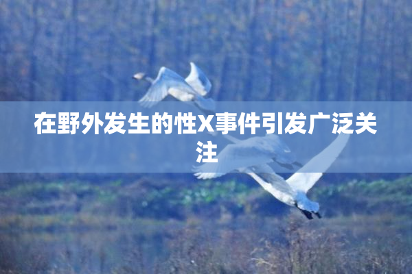在野外发生的性X事件引发广泛关注