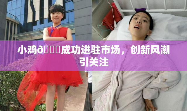 小鸡🐔成功进驻市场，创新风潮引关注