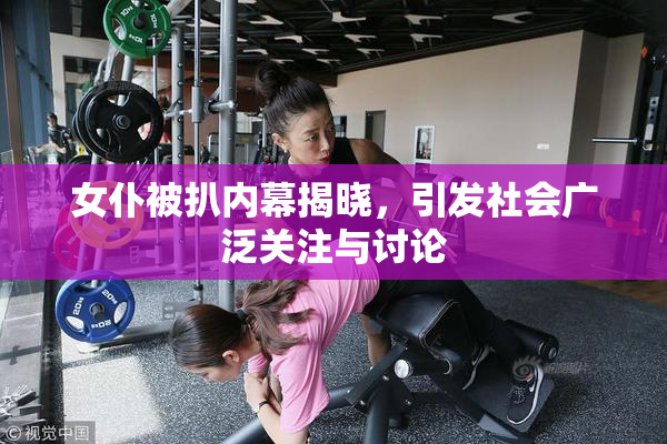 女仆被扒内幕揭晓，引发社会广泛关注与讨论