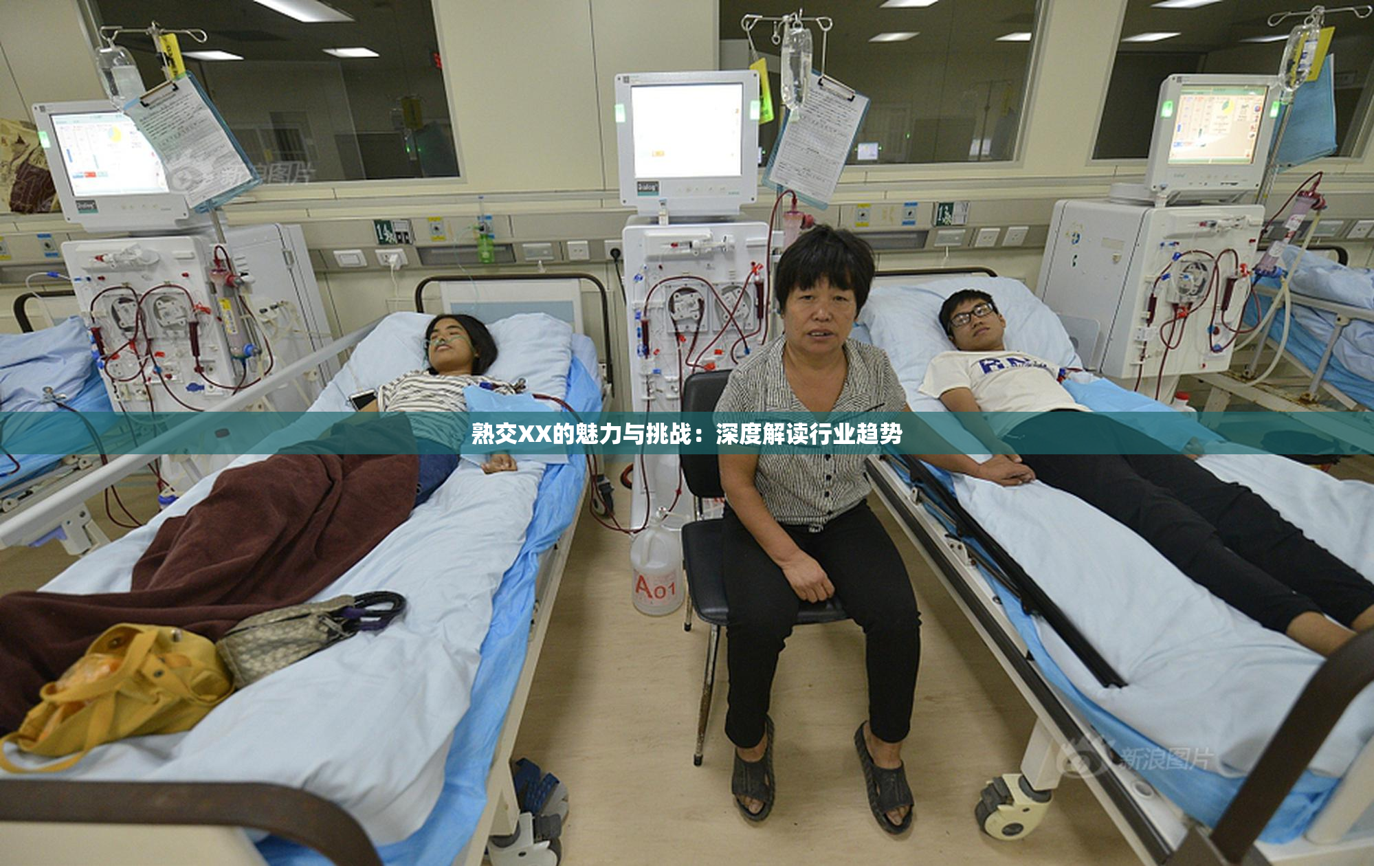 熟交XX的魅力与挑战：深度解读行业趋势