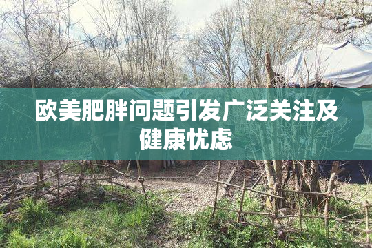 欧美肥胖问题引发广泛关注及健康忧虑