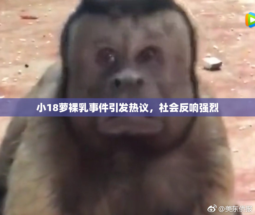 小18萝裸乳事件引发热议，社会反响强烈