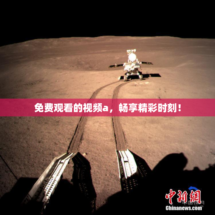 免费观看的视频a，畅享精彩时刻！