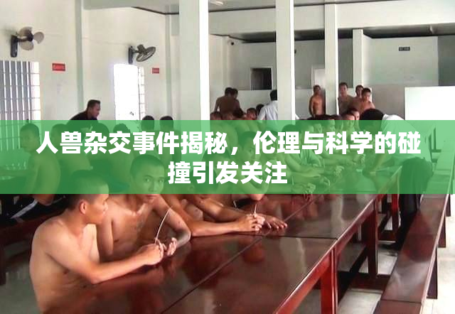 人兽杂交事件揭秘，伦理与科学的碰撞引发关注