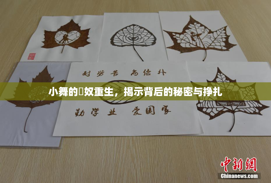 小舞的婬奴重生，揭示背后的秘密与挣扎