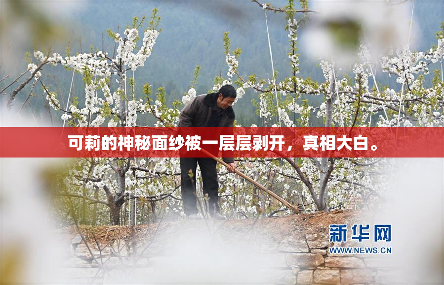 可莉的神秘面纱被一层层剥开，真相大白。