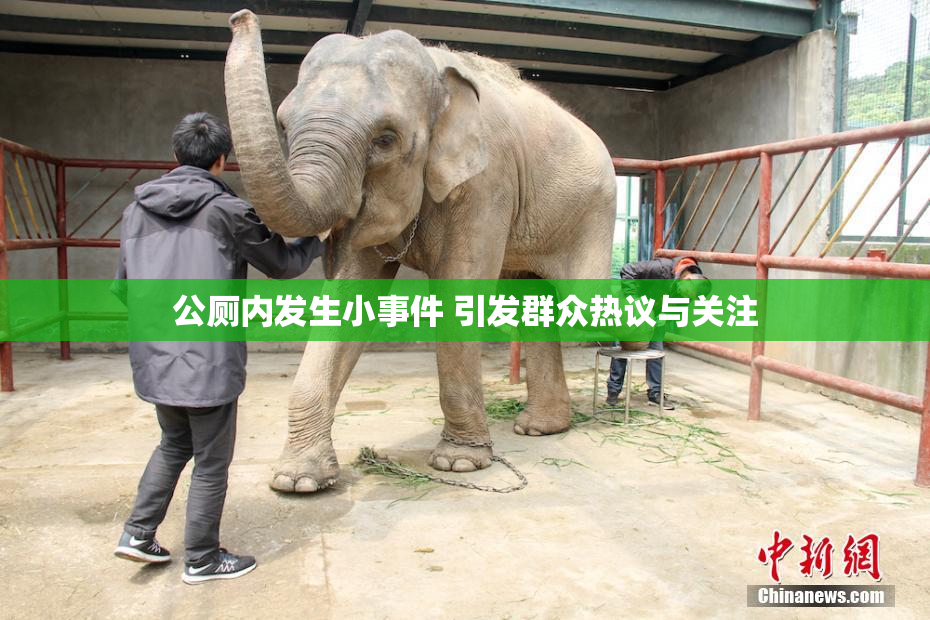 公厕内发生小事件 引发群众热议与关注