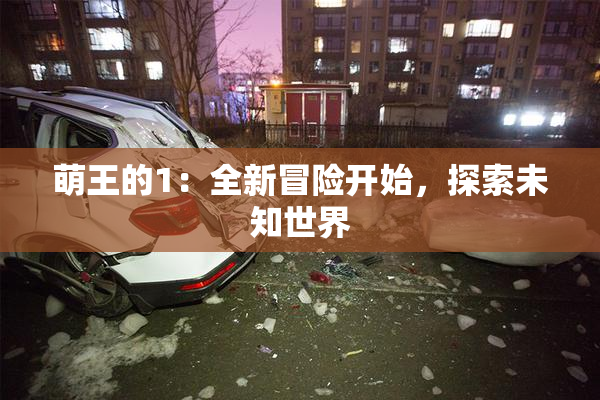 萌王的1：全新冒险开始，探索未知世界
