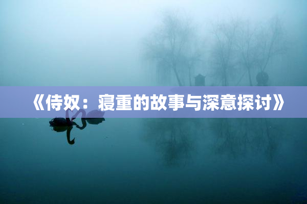 《侍奴：寝重的故事与深意探讨》