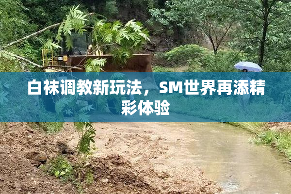 白袜调教新玩法，SM世界再添精彩体验