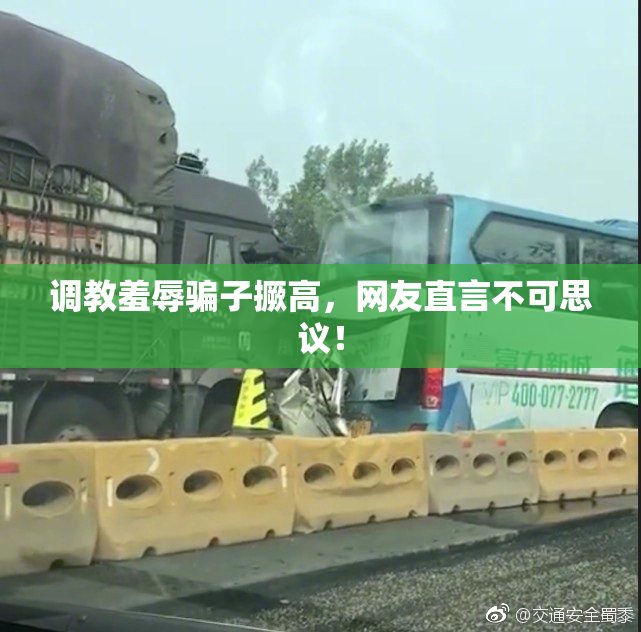 调教羞辱骗子撅高，网友直言不可思议！