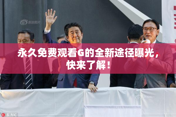 永久免费观看G的全新途径曝光，快来了解！