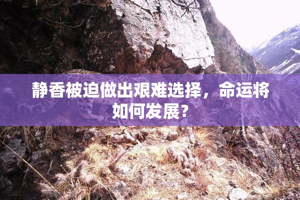 静香被迫做出艰难选择，命运将如何发展？