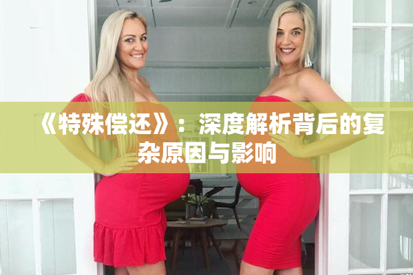 《特殊偿还》：深度解析背后的复杂原因与影响