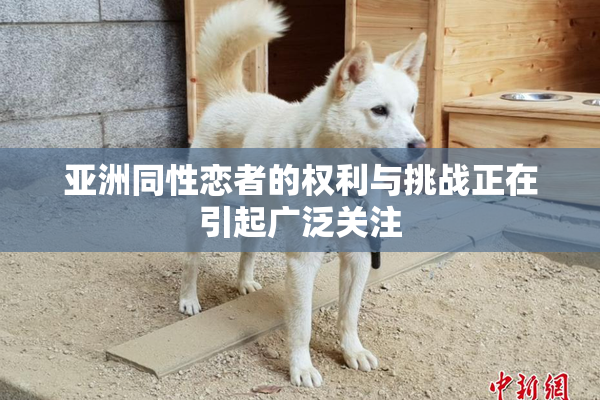亚洲同性恋者的权利与挑战正在引起广泛关注