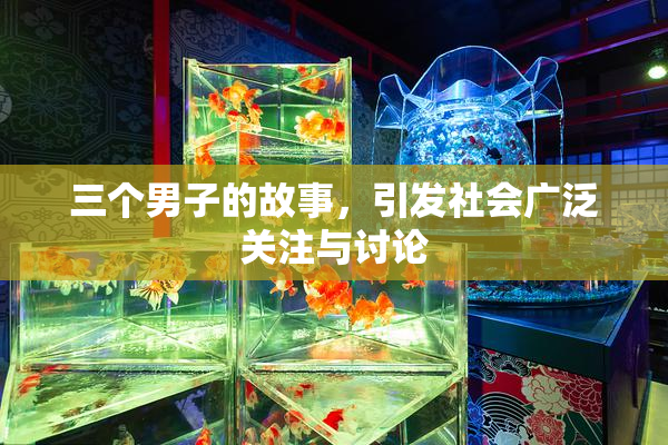 三个男子的故事，引发社会广泛关注与讨论