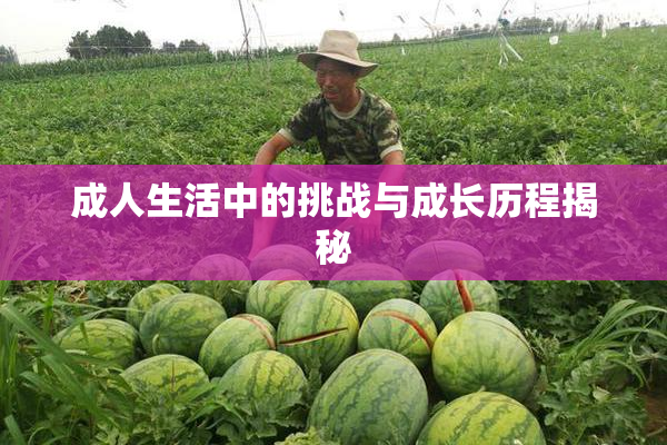 成人生活中的挑战与成长历程揭秘