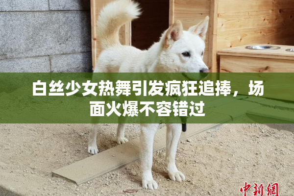 白丝少女热舞引发疯狂追捧，场面火爆不容错过