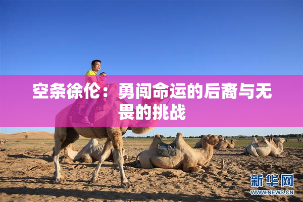 空条徐伦：勇闯命运的后裔与无畏的挑战