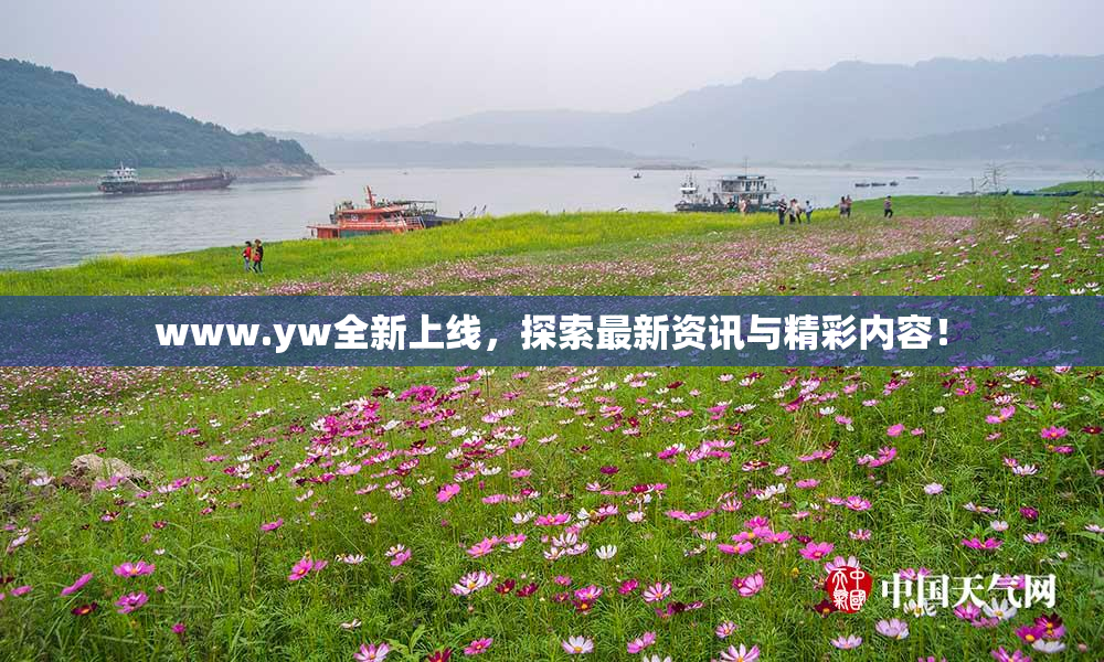 www.yw全新上线，探索最新资讯与精彩内容！