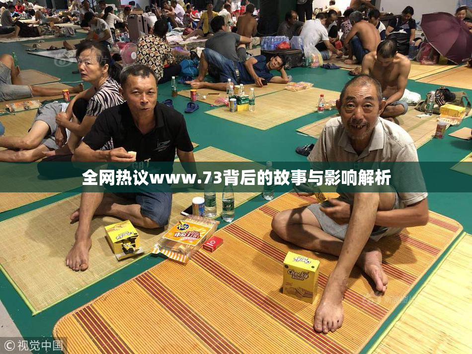 全网热议www.73背后的故事与影响解析