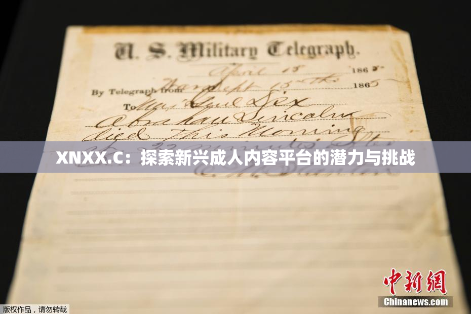 XNXX.C：探索新兴成人内容平台的潜力与挑战