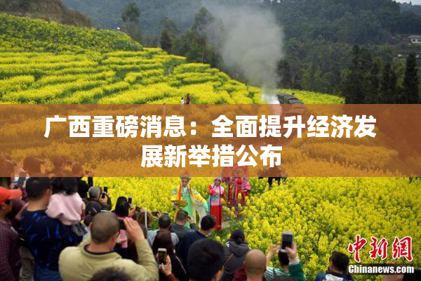 广西重磅消息：全面提升经济发展新举措公布