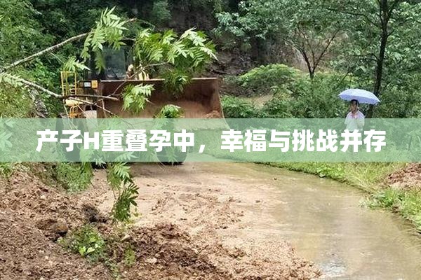 产子H重叠孕中，幸福与挑战并存