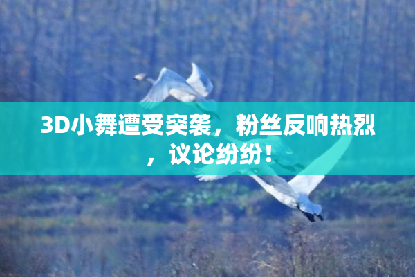 3D小舞遭受突袭，粉丝反响热烈，议论纷纷！