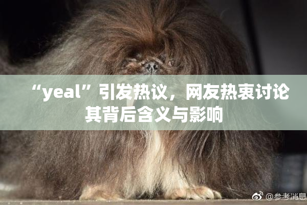 “yeal”引发热议，网友热衷讨论其背后含义与影响