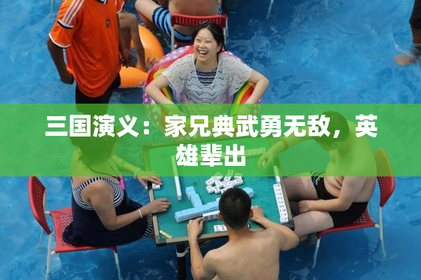 三国演义：家兄典武勇无敌，英雄辈出