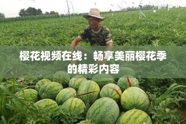 樱花视频在线：畅享美丽樱花季的精彩内容