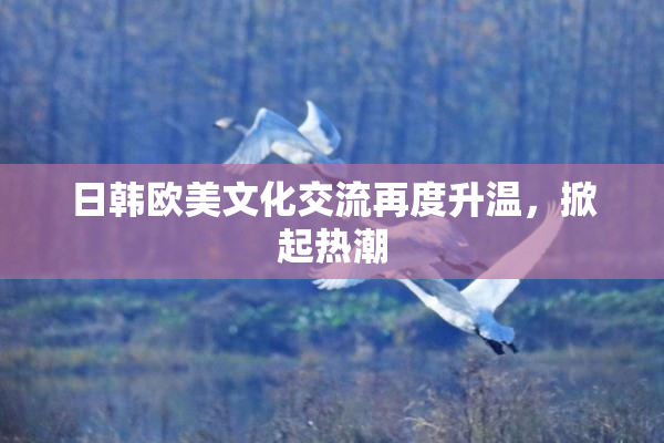 日韩欧美文化交流再度升温，掀起热潮