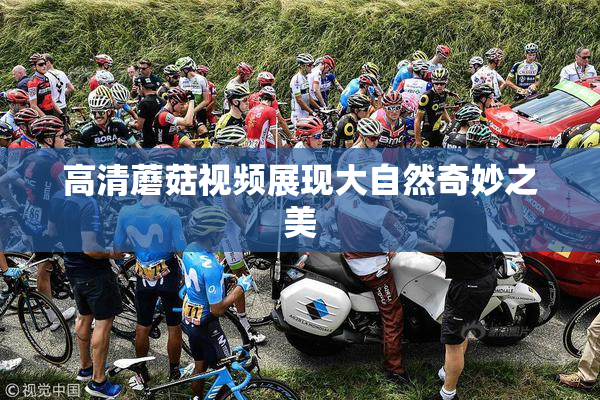 高清蘑菇视频展现大自然奇妙之美