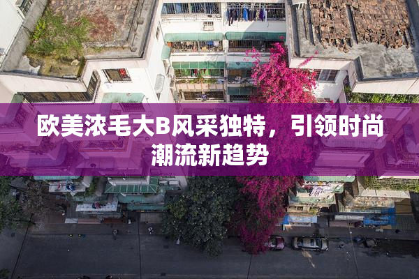 欧美浓毛大B风采独特，引领时尚潮流新趋势