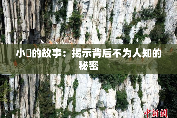 小泬的故事：揭示背后不为人知的秘密